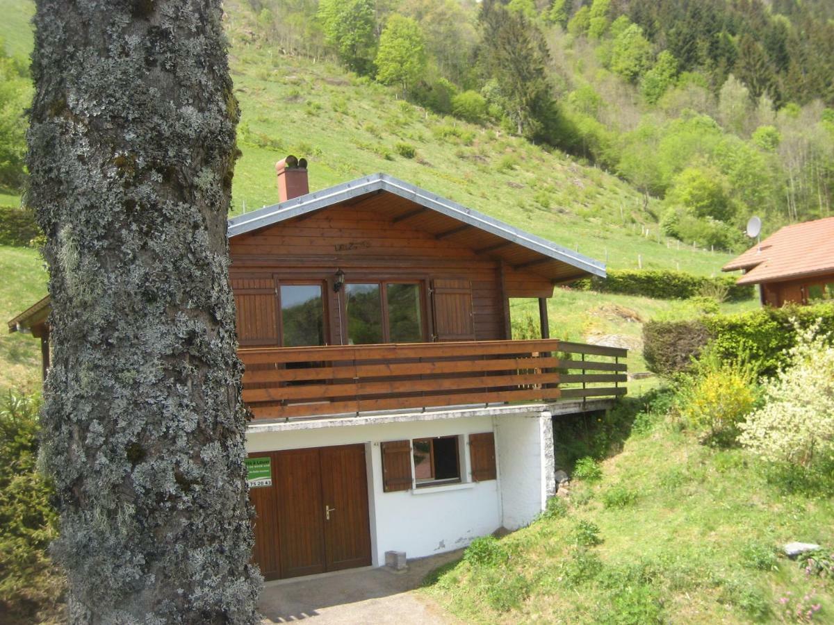 Chalet Les Jonquilles La Bresse Exterior foto